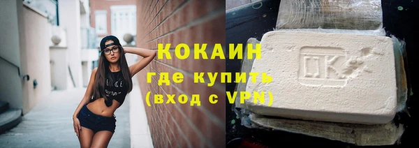 молекула духа Козельск