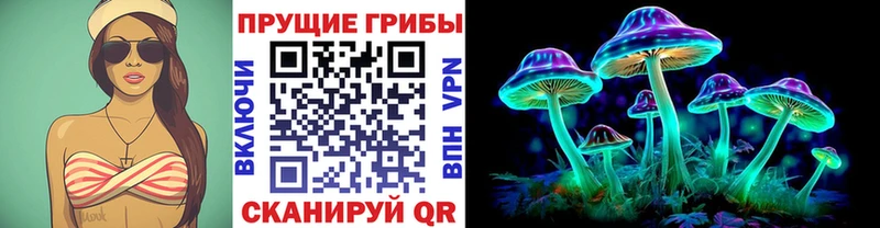 наркотики  Полысаево  Галлюциногенные грибы Psilocybine cubensis 